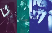 The Great Apes - Dancefloor Democracy