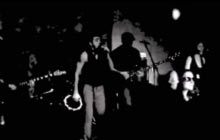 The Great Apes - Bones