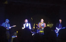 The Great Apes - Jungle Juice - Live at The Paper Box